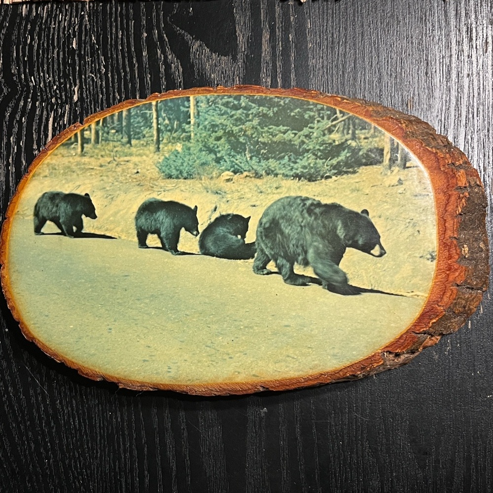 Vintage 70’s Wood Slice Plaque – “Bear & Cubs” Scene Wall Art Decor